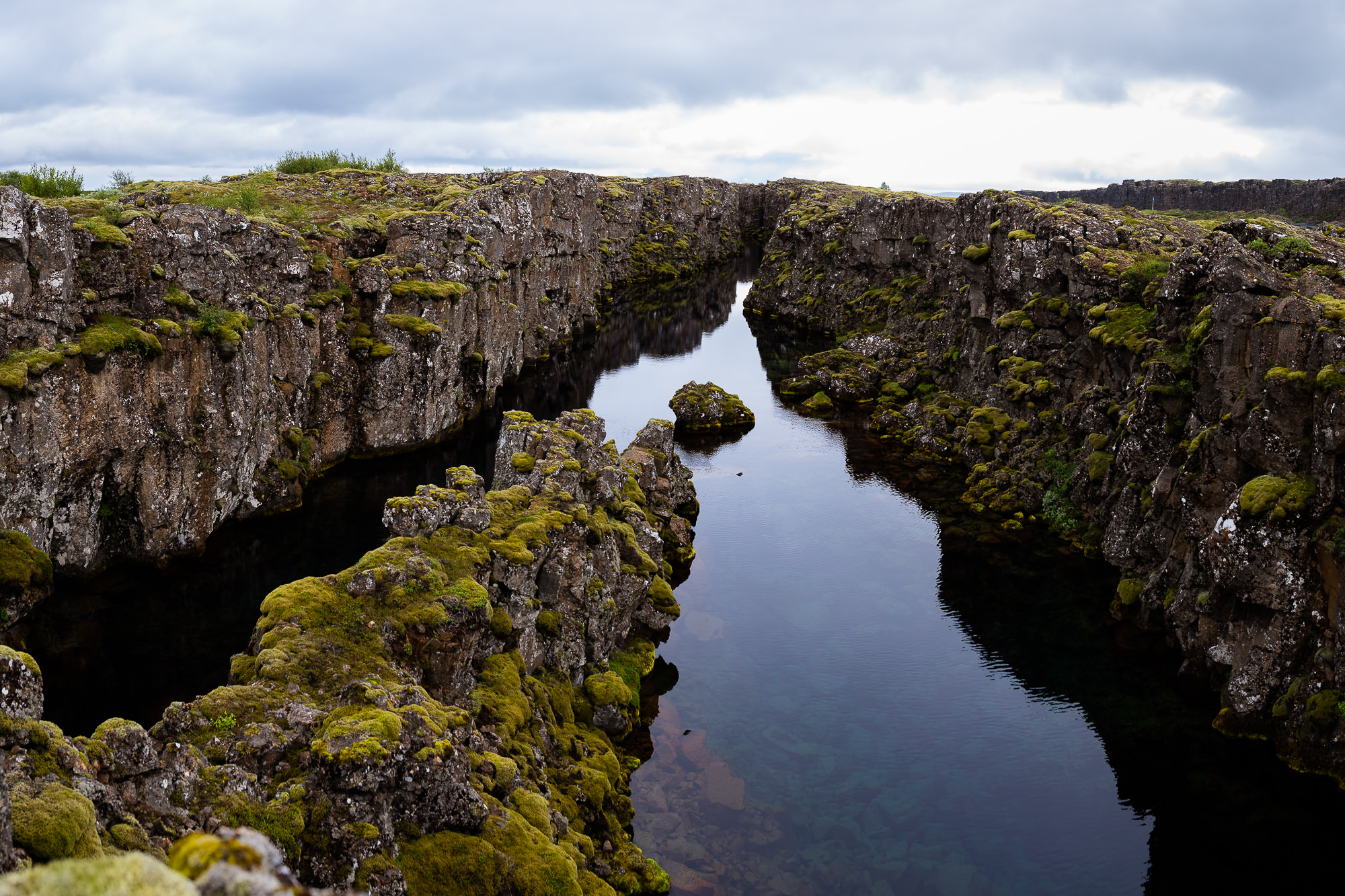 Export x3 5D4 5809 Pano Anja & Damaris @thingvellier